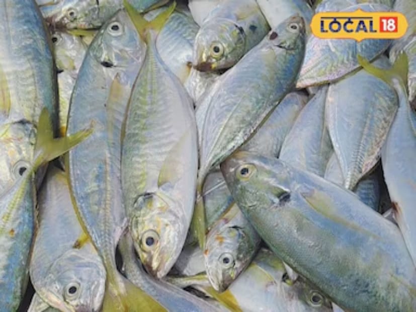 রক ফিশ প্রজাতির মধ্যে একটি হল 'সুভাপারাই মাছ' যা বাংলার বাজারে পরিচিত 'সু বাড়াই' নামে। অনেকটা পমফ্রেট মাছের মতো দেখতে এই মাছটি স্টু থেকে স্যুপ সবকিছুর জন্যই দুর্দান্ত উপযুক্ত। আর তার উপরে এর স্বাদও অনন্য। আসুন আজ এই প্রতিবেদনে জেনে নেওয়া যাক এই 'সুভাপারাই মাছের' বিশেষ বৈশিষ্ট কী আর কেনই বা এই মাছ খাওয়ার পরামর্শ দিচ্ছেন বিশেষজ্ঞরা?