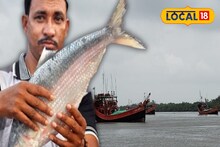 South 24 Parganas News: ইলিশ, ভোলা...! শীতের শুরুতে 'মাছে ভাতে বাঙালি'দের জন্য চরম খারাপ খবর, মাছ নিয়ে বাড়ছে আশঙ্কা