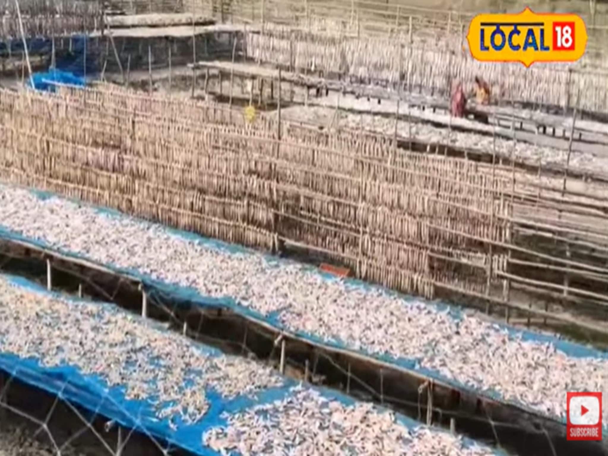 শুঁটকি ব্যবসায়ে আবার ক্ষতি, দিশেহারা মৎস্যজীবীরা