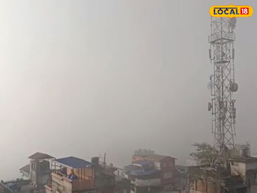 অন্যদিকে ডুয়ার্সে হালকা কুয়াশার দেখা মিলেছে শুক্রবার। ডুয়ার্সে সর্বনিম্ন তাপমাত্রার পারদ ১১ ডিগ্রি সেলসিয়াসের কাছাকাছি রয়েছে বলেই জানা যাচ্ছে।