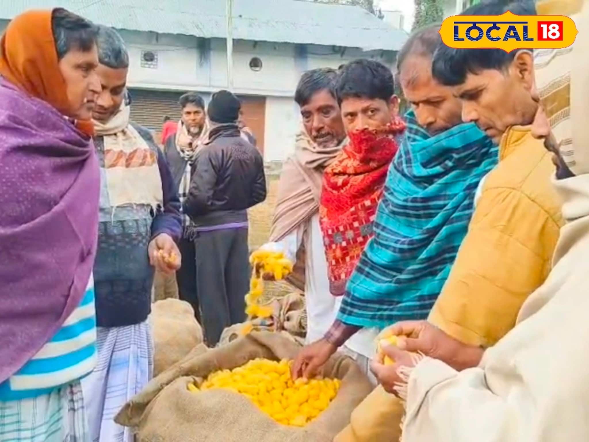 Malda Silk Farming: দাম মিলছে দ্বিগুণ, কেজিতে এত এত টাকা! মালদহের রেশম শিল্প কি তবে পুনরুজ্জীবনের পথে