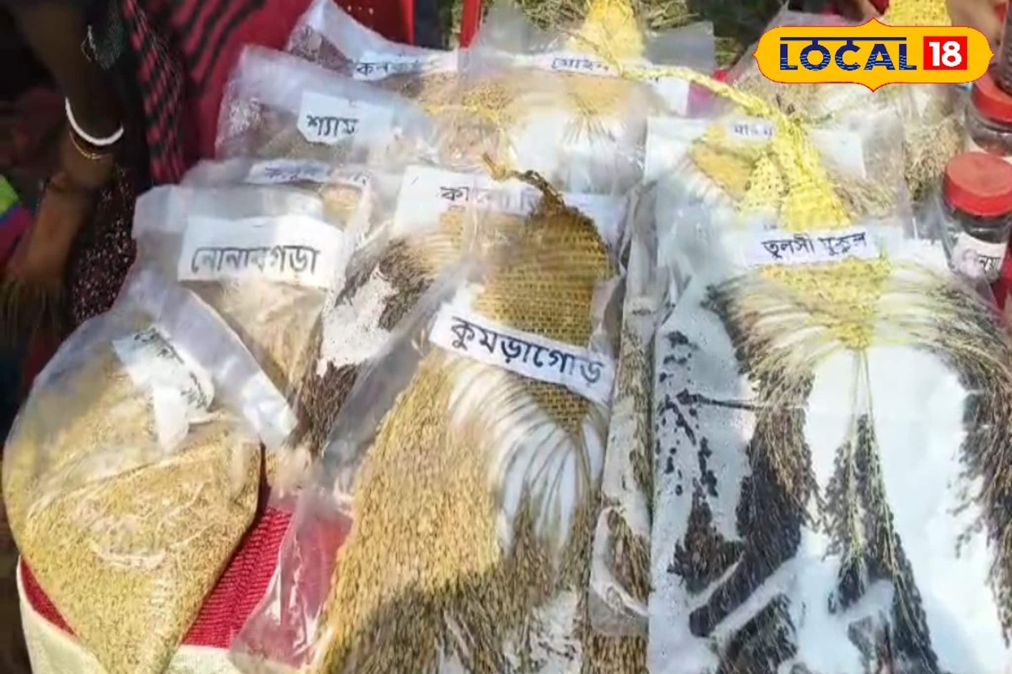 নয়া পদ্ধতিতে বীজ সংরক্ষণ, চকচকে হবে কৃষকদের কপাল! হারানো ধানে দিশা দেখাচ্ছে সুন্দরবন নয়া পদ্ধতিতে বীজ সংরক্ষণ, চকচকে হবে কৃষকদের কপাল! হারানো ধানে দিশা দেখাচ্ছে সুন্দরবন