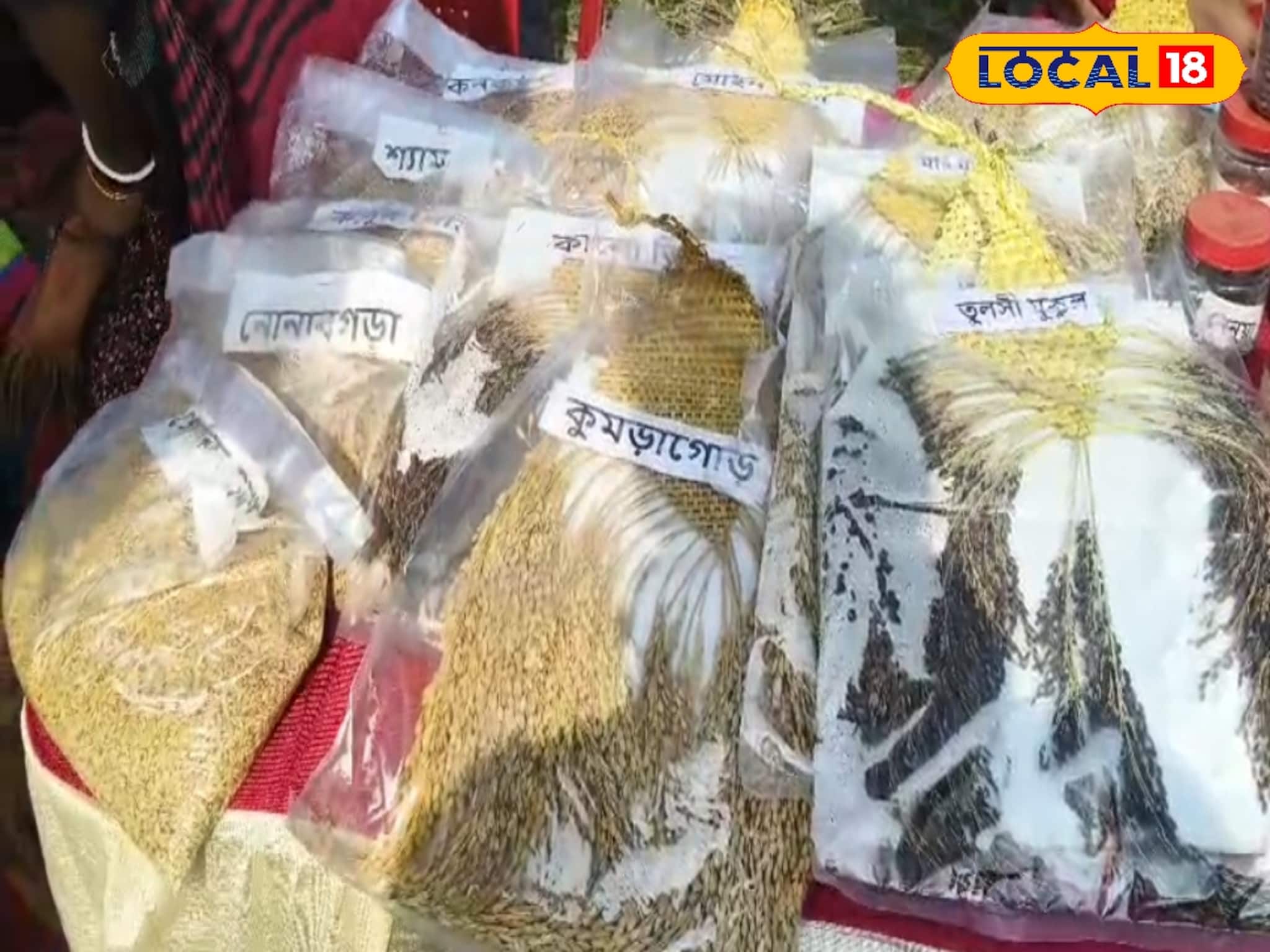 নয়া পদ্ধতিতে বীজ সংরক্ষণ, চকচকে হবে কৃষকদের কপাল! হারানো ধানে দিশা দেখাচ্ছে সুন্দরবন