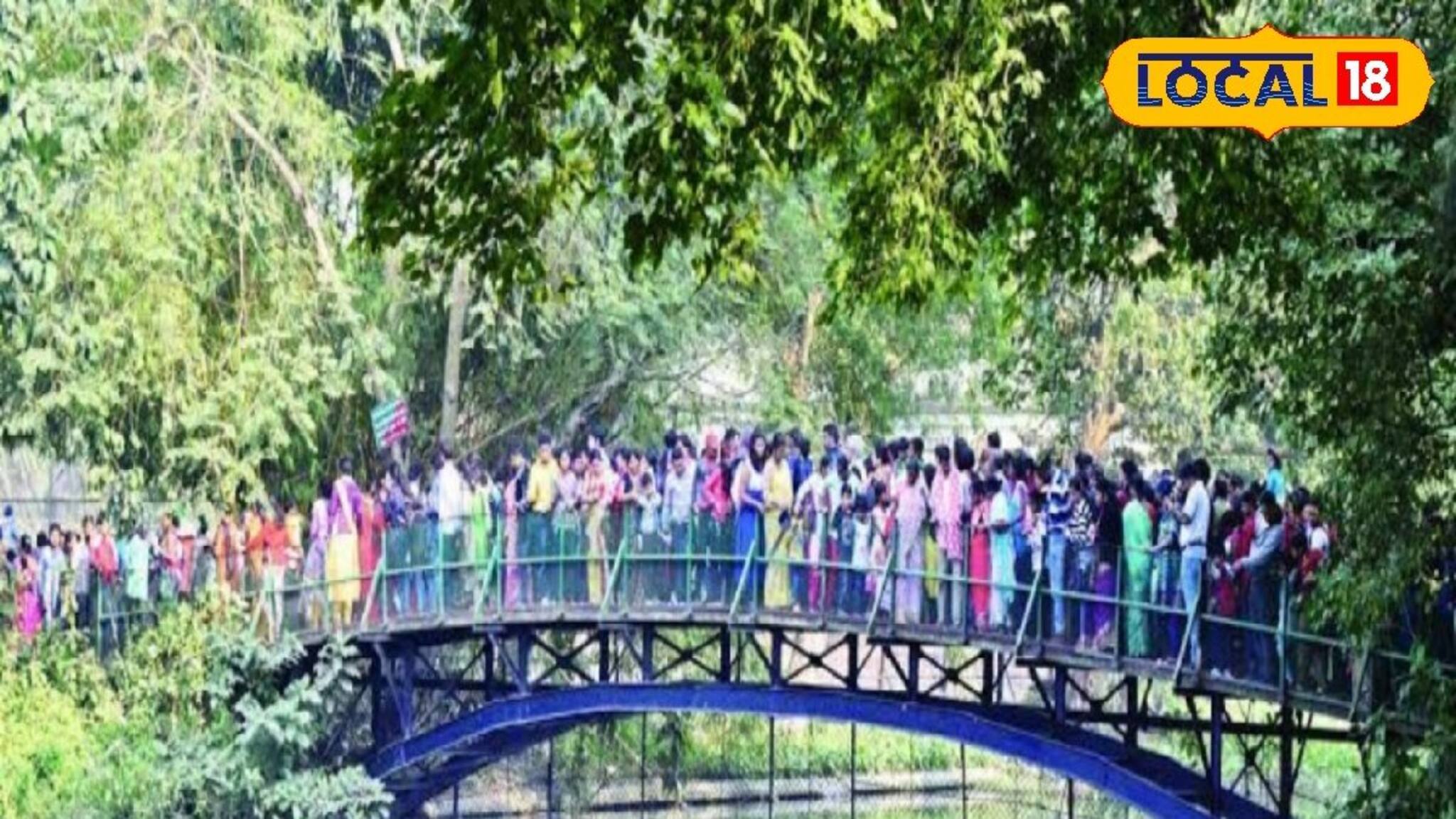 'পা ফেলার জায়গা নেই'! ডিসেম্বরের প্রথম রবিবারেই রেকর্ড ভিড় আলিপুর চিড়িয়াখানায়