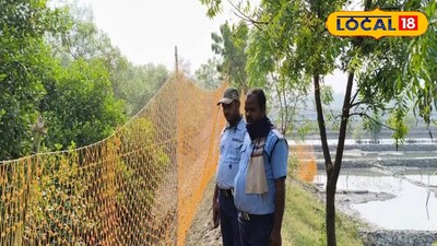 জাল দিয়ে ঘেরা হয়েছে এলাকা