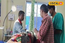 Tiger Attack: স্ত্রীর জন্য বাঘের সঙ্গে লড়াই, চোখে চোখ রেখে জান লড়িয়ে দিলেন স্বামী! শেষে রণে ভঙ্গ, লেজ গুটিয়ে ছুট