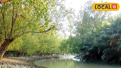 প্রতিকী ছবি