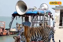 Tiger Panic: ছাগলের টোপ কাজে এল না, যেকোনও সময় লোকালয়ে ঢুকতে পারে বাঘ! জি-প্লটে মাইকিং, সতর্ক করছে প্রশাসন