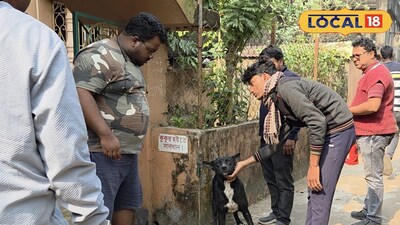 কুকুরদের ভ্যাকসিনেশন