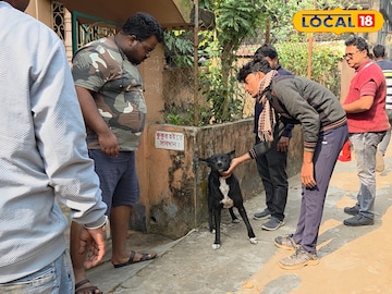 কুকুরদের