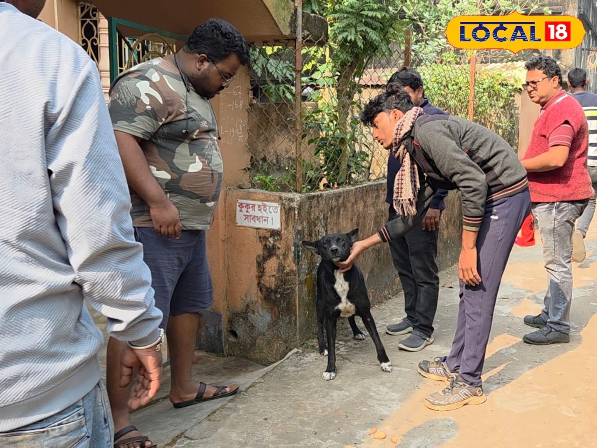 হাতে ক্যাচার, পথ কুকুর দেখলেই ছেড়ে কথা নয়! মেদিনীপুরের যুবকের নয়া কর্মযজ্ঞ, ধন্য স্থানীয়রা