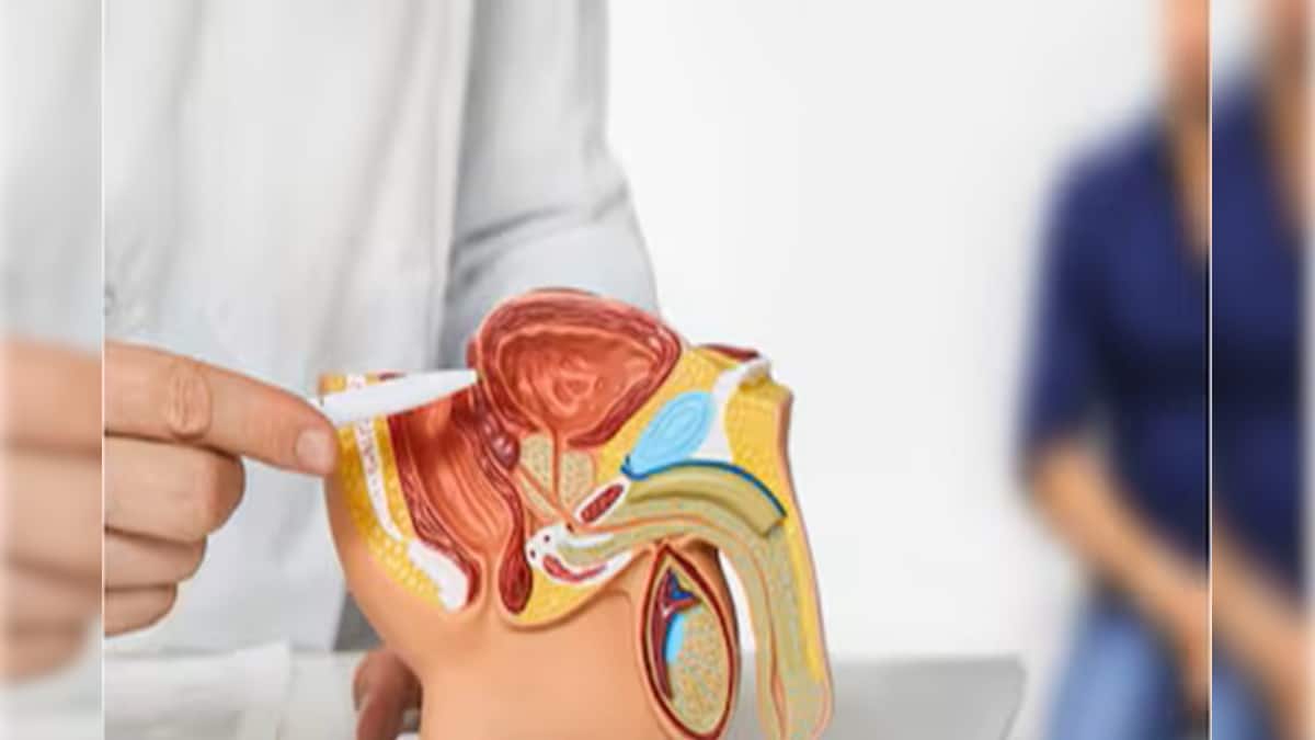 রাতে ঘুম ভেঙে বারবার প্রস্রাব? পুরুষদের শরীরে কী সংকেত দিচ্ছে? কী বলছেন ডাক্তাররা জেনে নিন