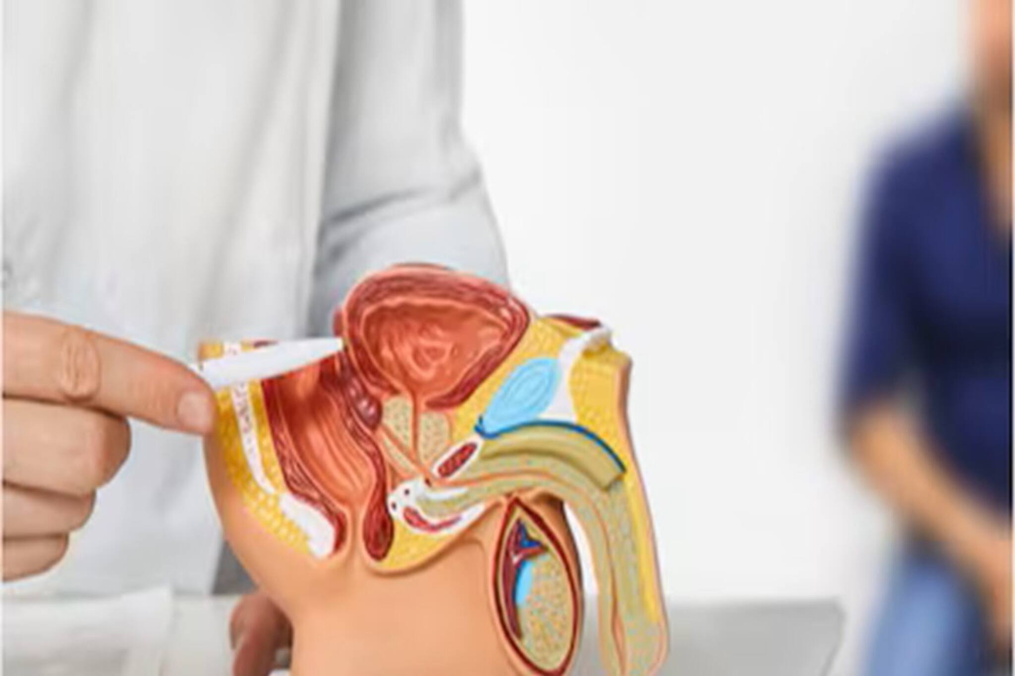 রাতে ঘুম ভেঙে বারবার প্রস্রাব? পুরুষদের শরীরে কী সংকেত দিচ্ছে? কী বলছেন ডাক্তাররা জেনে নিন