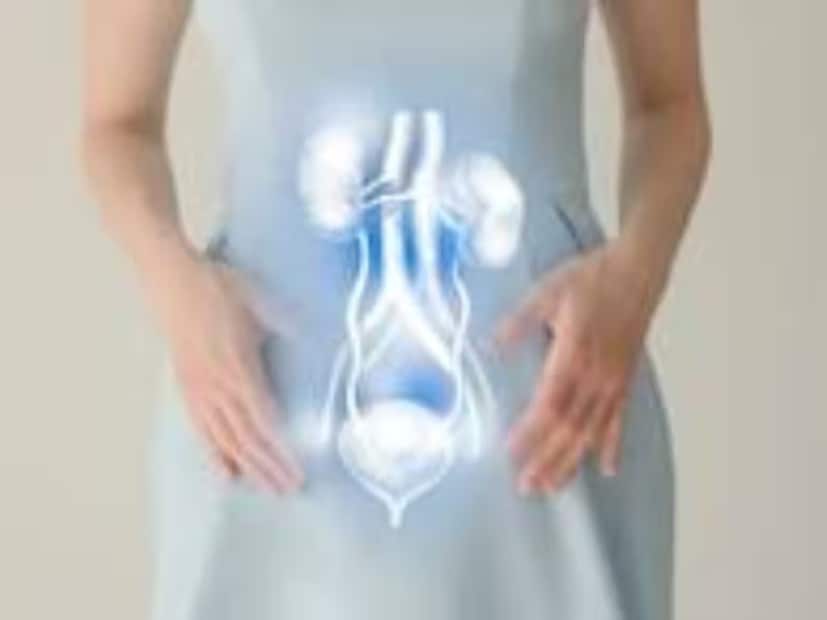 আপনি কি প্রস্রাব করার সময় তীব্র জ্বালা-যন্ত্রণা, ব্যথা অনুভব করেন? আপনার কি প্রস্রাব করতে অসুবিধা হয়? যদি হয়, তবে আপনার বিশেষ একদিকে নজর দেওয়া উচিত। প্রস্রাব প্রয়োজনীয় এবং প্রাকৃতিক প্রক্রিয়া। কিডনি শরীরকে ডিটক্স করতে এবং শরীরে উপস্থিত বর্জ্য পদার্থগুলি বের করে দেওয়ার কাজ করে। আপনি কি প্রস্রাব করার সময় তীব্র জ্বালা-যন্ত্রণা, ব্যথা অনুভব করেন? আপনার কি প্রস্রাব করতে অসুবিধা হয়? যদি হয়, তবে আপনার বিশেষ একদিকে নজর দেওয়া উচিত। প্রস্রাব প্রয়োজনীয় এবং প্রাকৃতিক প্রক্রিয়া। কিডনি শরীরকে ডিটক্স করতে এবং শরীরে উপস্থিত বর্জ্য পদার্থগুলি বের করে দেওয়ার কাজ করে।