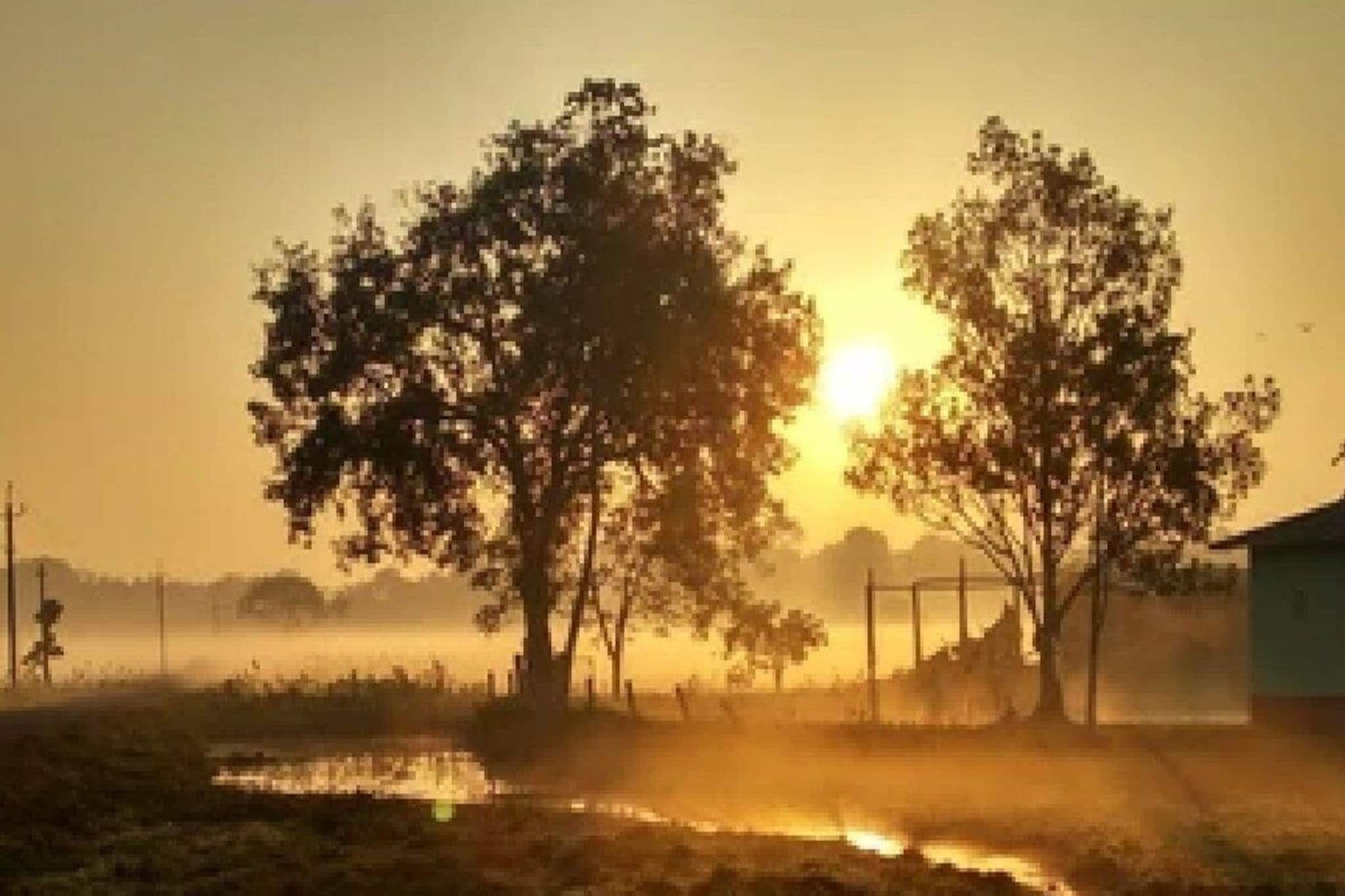 দক্ষিণবঙ্গে কবে জাঁকিয়ে শীত পড়বে? জানুন আবহাওয়ার লেটেস্ট আপডেট