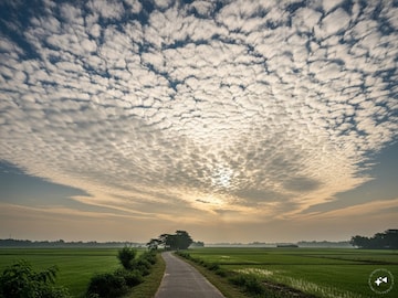 কমছে উত্তুরে হাওয়ার দাপট, জাঁকিয়ে শীত কি এখানেই শেষ? বড়দিন থেকে 'হাওয়াবদল'! দেখুন আপডেট কমছে উত্তুরে হাওয়ার দাপট, জাঁকিয়ে শীত কি এখানেই শেষ? বড়দিন থেকে 'হাওয়াবদল'! দেখুন আপডেট