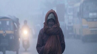 বর্ষ শেষের দিনগুলিতে পশ্চিমবঙ্গে জাঁকিয়ে শীতের দাপট অব্যাহত।