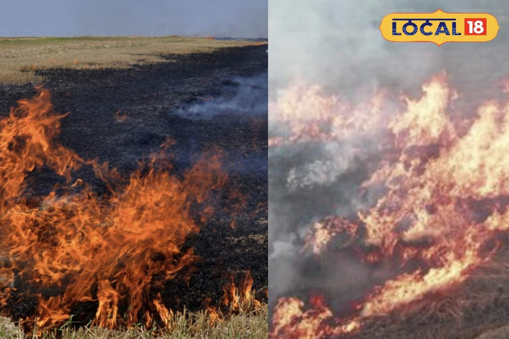 নাড়া পোড়ানোর বিরুদ্ধে লড়াই, প্ল্যাকার্ড ঝুলিয়ে গ্রামেগঞ্জে ঘুরছে 'সচেতনতার সাইকেল' নাড়া পোড়ানোর বিরুদ্ধে লড়াই, প্ল্যাকার্ড ঝুলিয়ে গ্রামেগঞ্জে ঘুরছে 'সচেতনতার সাইকেল'