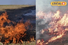 West Bardhaman News: নাড়া পোড়ানোর বিরুদ্ধে ৮ বছরের লড়াই, প্ল্যাকার্ড ঝুলিয়ে গ্রামেগঞ্জে দৌড়চ্ছে তপনবাবুর 'সচেতনতার সাইকেল'