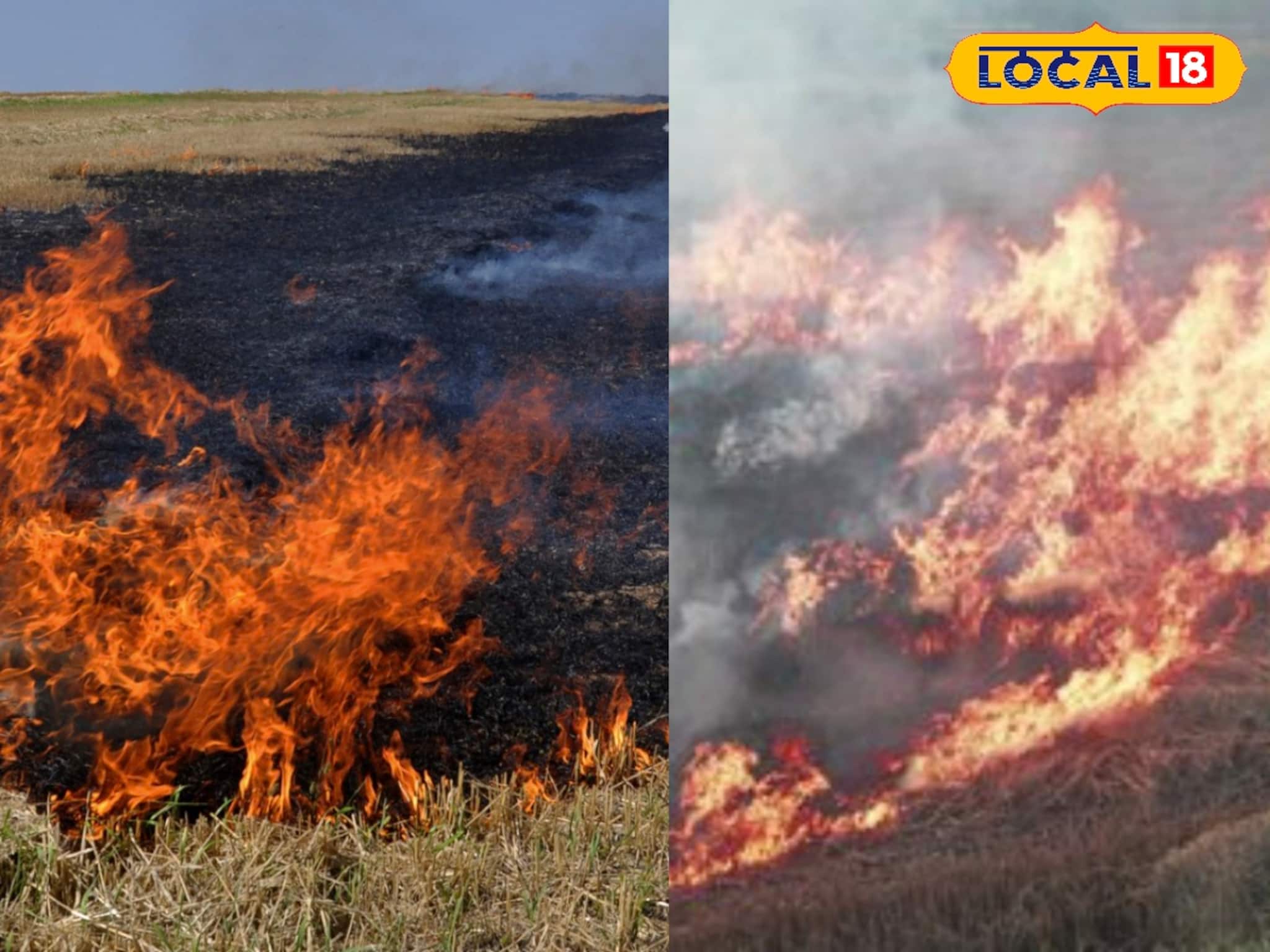 নাড়া পোড়ানোর বিরুদ্ধে লড়াই, প্ল্যাকার্ড ঝুলিয়ে গ্রামেগঞ্জে ঘুরছে 'সচেতনতার সাইকেল' নাড়া পোড়ানোর বিরুদ্ধে লড়াই, প্ল্যাকার্ড ঝুলিয়ে গ্রামেগঞ্জে ঘুরছে 'সচেতনতার সাইকেল'