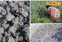 Survival Story: কালো, নোংরা নর্দমায় দিনরাত চলে খোঁজ, হাঁটু জলে নেমে হয় রান্নার জোগাড়! শিল্পতালুকে কঠিন জীবন সংগ্রাম