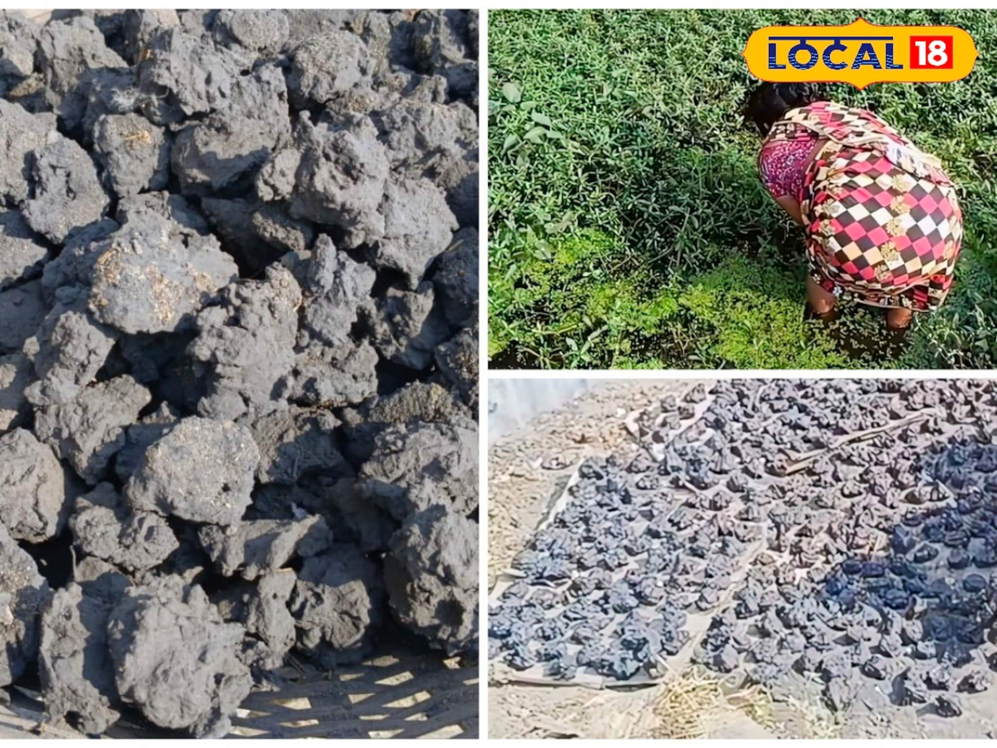 কালো, নোংরা নর্দমার জলে হয় রান্নার জোগাড়, সংগ্রামের দৃশ্য চোখে জল এনে দেবে কালো, নোংরা নর্দমার জলে হয় রান্নার জোগাড়, সংগ্রামের দৃশ্য চোখে জল এনে দেবে