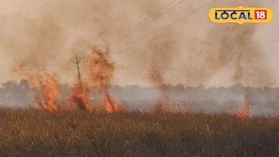 আগুনে নষ্ট ধান