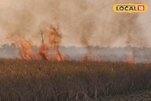 Agriculture Loss: 'পাকা ধানে মই', লাখ লাখ টাকার ক্ষতি! বিঘার পর বিঘা জমিতে আগুনে কৃষকদের সর্বনাশ