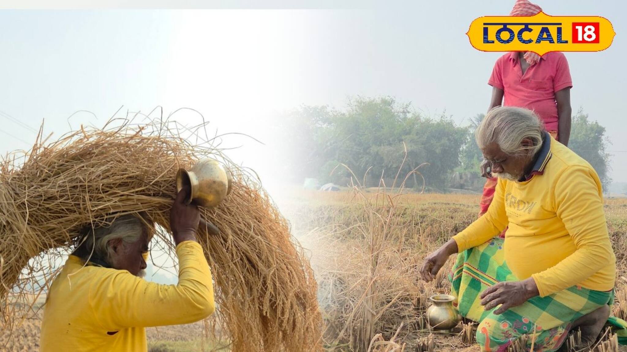 এত মেশিন, এত উন্নতি! তবুও পুরনো রীতিতে ভরসা রেখে মাঠে লক্ষ্মীপুজো করেন কৃষকরা