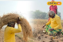 Agriculture News: এত মেশিন, এত উন্নতি! তবুও ভরসা সেই পুরনো রীতিতেই! ভাল ফলনের আশায় মাঠে লক্ষ্মীপুজো করেন কৃষকরা