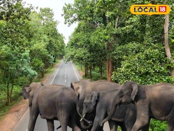 এগোচ্ছে