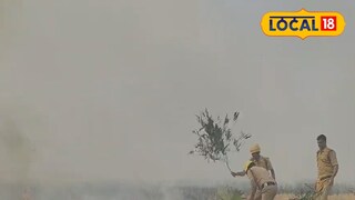 ধান জমিতে আগুন