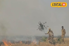 West Medinipur News: পুড়ে খাক হয়ে যাচ্ছে বিঘার পর বিঘা জমি, কমছে মাটির উর্বরতা! সচেতনতার অভাব, উদ্বিগ্ন কৃষি দফতর