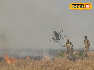 ধান জমিতে আগুন ধান জমিতে আগুন