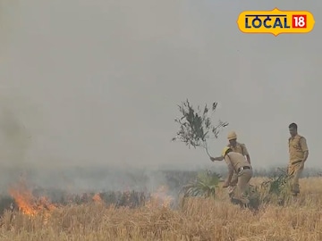 ধান জমিতে আগুন ধান জমিতে আগুন