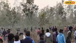 হাতি দেখতে ভিড় হাতি দেখতে ভিড়