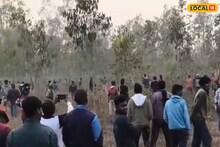 West Medinipur News: হাতি দেখতে গিয়ে বিপত্তি, কুয়াশার মধ্যে তেড়ে এল গজরাজ! হঠাৎ হানায় জখম যুবক, এলাকায় আতঙ্ক