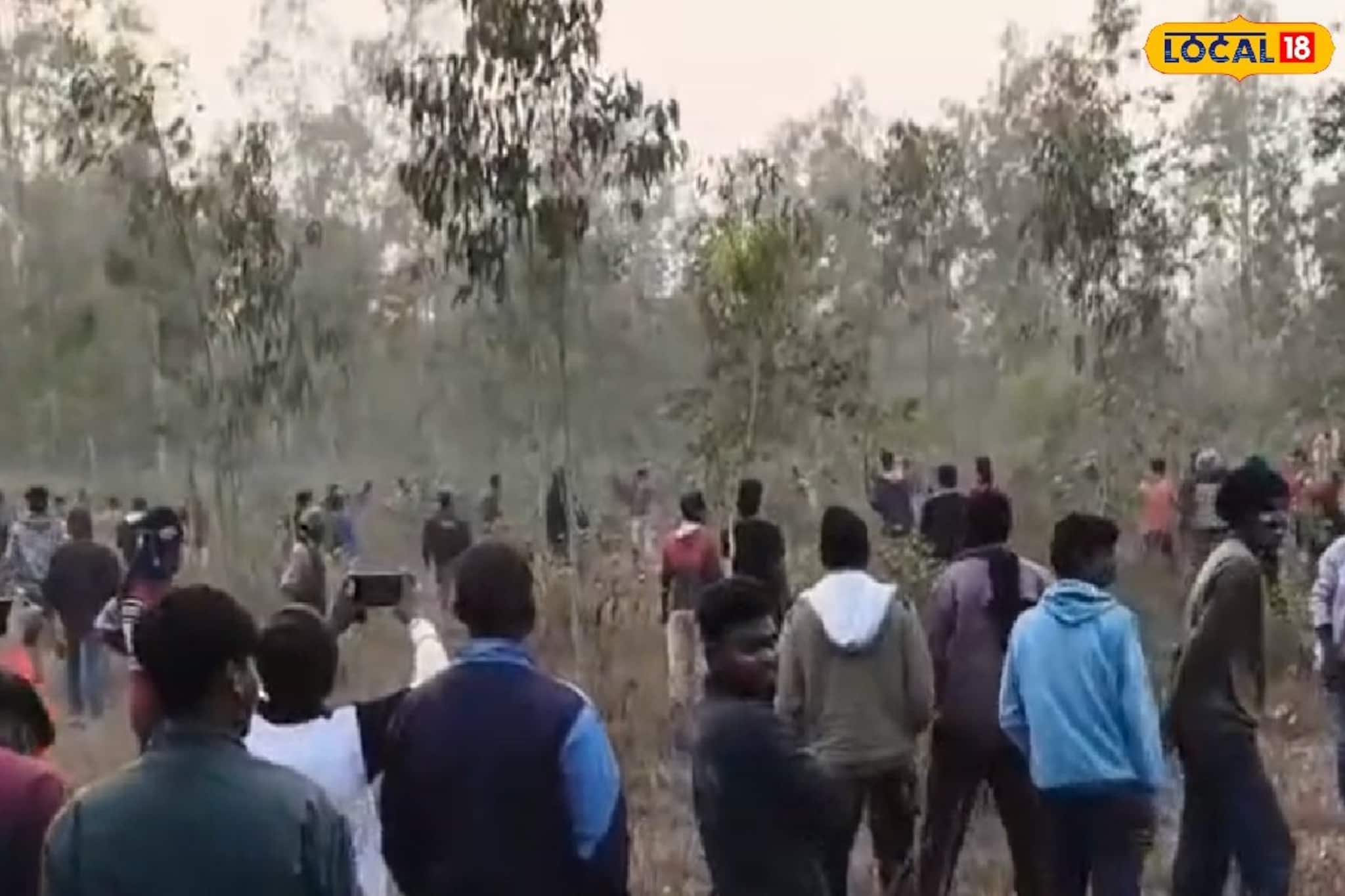 হাতি দেখতে গিয়ে বিপত্তি, কুয়াশার মধ্যে তেড়ে এল গজরাজ! হঠাৎ হানায় জখম যুবক