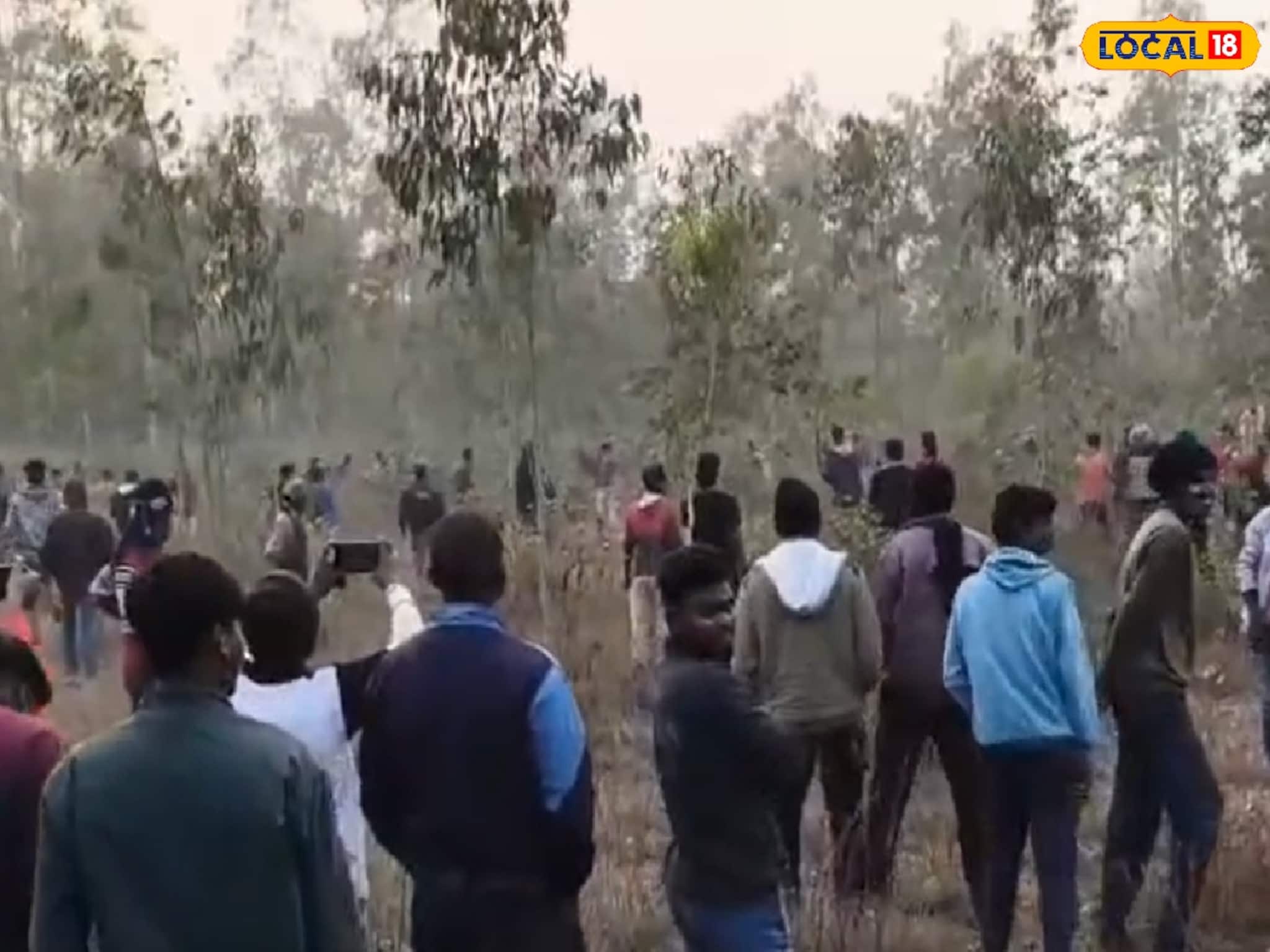 হাতি দেখতে গিয়ে বিপত্তি, কুয়াশার মধ্যে তেড়ে এল গজরাজ! হঠাৎ হানায় জখম যুবক