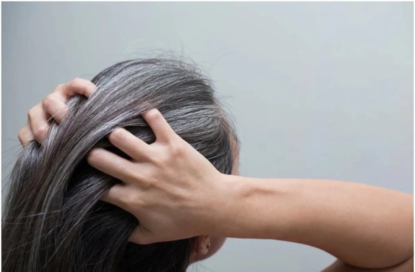 এর পাশাপাশি আমলকি ব্যবহার করতে পারেন।আমলকি ভিটামিন সি-তে সমৃদ্ধ।যা আপনার চুল কালো রাখে।তিন টেবিল চামচ আমলকি পাউডার, হেনা পাউডার এবং ১ টেবিল চামচ কফি পাউডার একসঙ্গে মিশিয়ে ঘন মিশ্রণ তৈরি করুন। মিশনটি তৈরি হয়ে গেলে মাথার মধ্যে লাগিয়ে কিছুক্ষণ অপেক্ষা করে শ্যাম্পু করে নিন।দেখবেন আপনার চুলও কালো হবে এবং সেটি অনেক দিন ধরে কালো থাকবে।