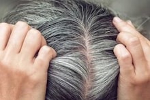 Gray Hair: ৩০–৪০ বয়সেই সাদা চুল? রঙ নয়, তেলেই সমাধান! এখনই জেনে নিন প্রাকৃতিক যত্নের উপায়