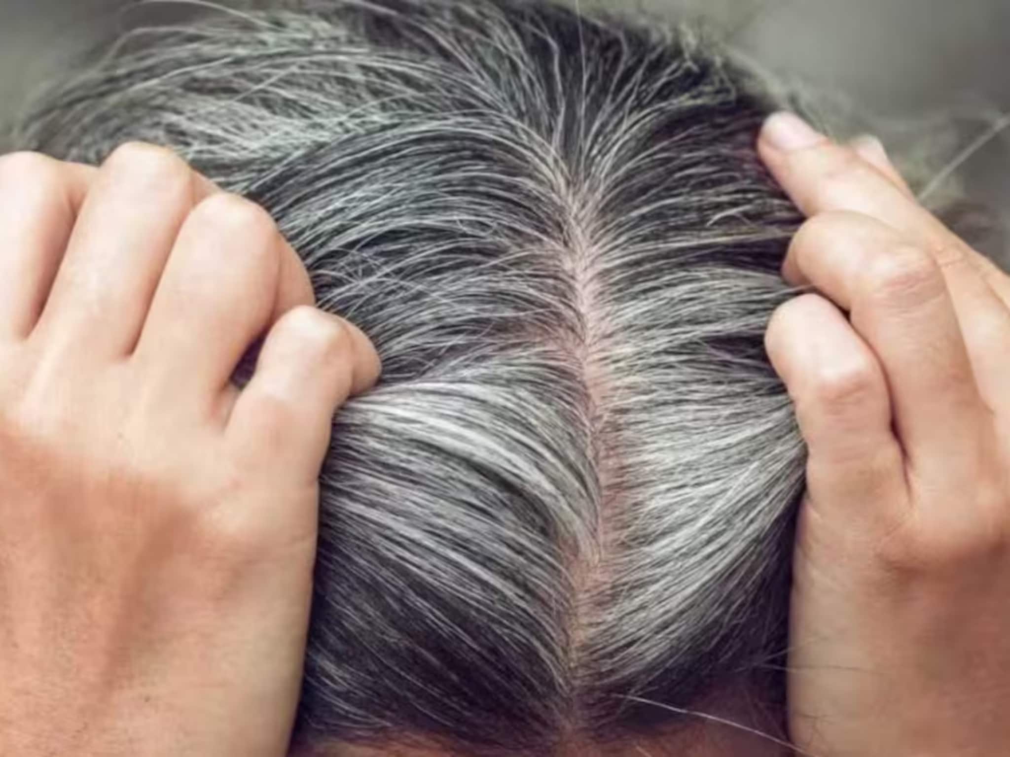 White Hair Colouring Tips: অল্প বয়সে চুল পেকে যাচ্ছে...! দামি হেয়ার কালার-কলপের দরকারই নেই! নারকেল তেলে এই পাতা মিশিয়ে মাখলেই কেল্লাফতে, চুল হবে ঘন কুচকুচে কালো