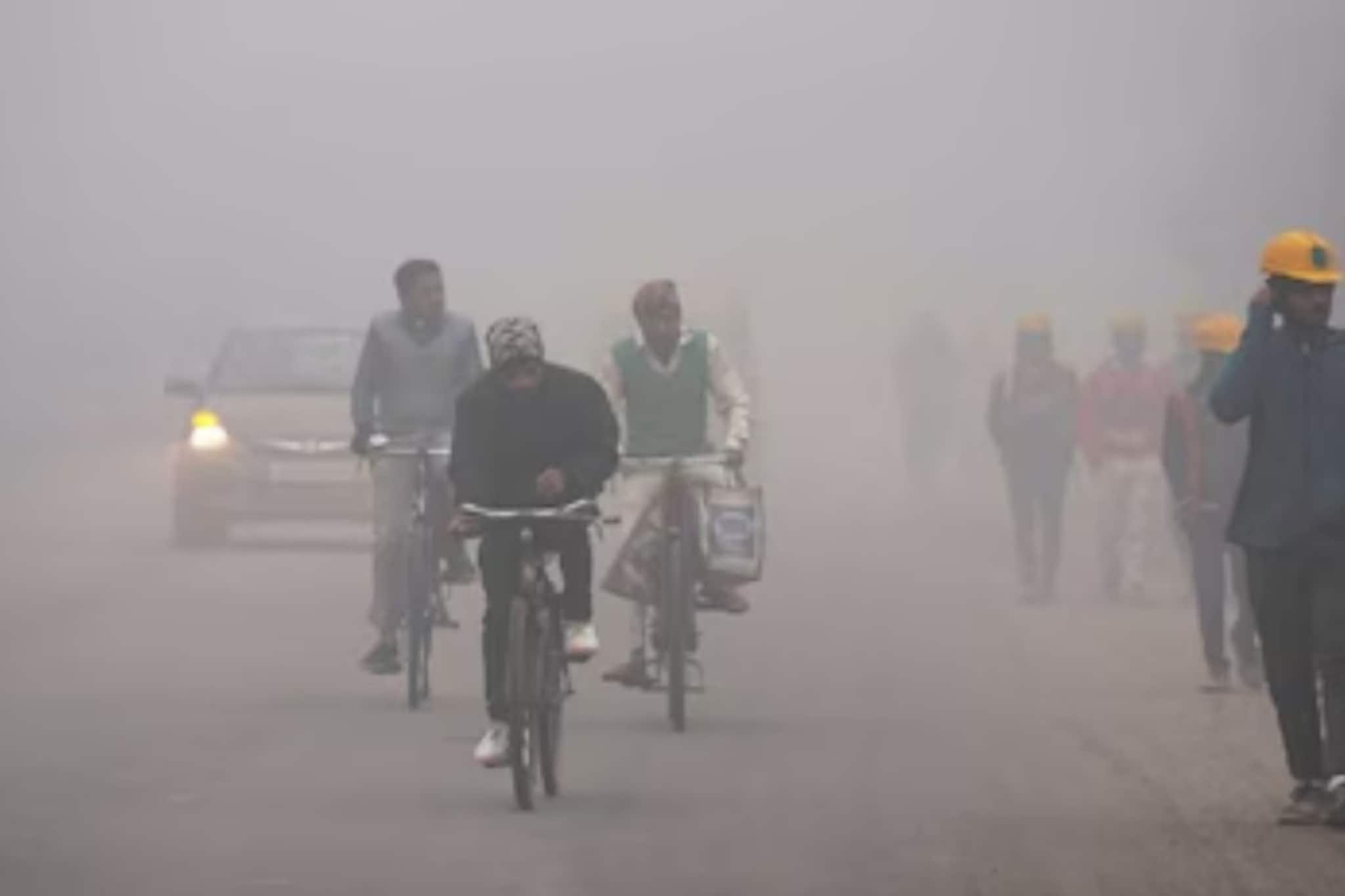 পাহাড়ে তুষারপাতে বর্ষবরণ, দোসর বৃষ্টি, ভরা কুয়াশা... হাড়কাঁপানো ঠান্ডায় নাজেহাল বঙ্গবাসী