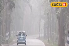 Jhargram Weather Today: ঘন কুয়াশায় ঢাকল ঝাড়গ্রাম! কনকনে শীত, কত ডিগ্রীতে নামল তাপমাত্রা জানালো আবহাওয়া দফতর