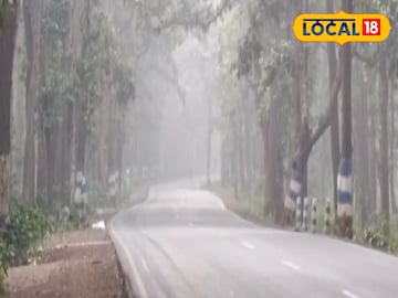 ঘন কুয়াশায় ঢাকল ঝাড়গ্রাম! কনকনে শীত, কত ডিগ্রীতে নামল তাপমাত্রা জানালো আবহাওয়া দফতর ঘন কুয়াশায় ঢাকল ঝাড়গ্রাম! কনকনে শীত, কত ডিগ্রীতে নামল তাপমাত্রা জানালো আবহাওয়া দফতর