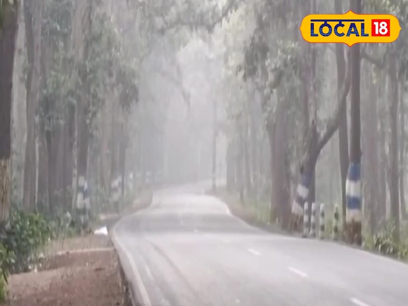 মঙ্গলবার সকাল থেকেই ঘন কুয়াশা দেখা যায় অরণ্য সুন্দরী ঝাড়গ্রামে। শুধু ঘন কুয়াশা নয়, পাশাপাশি কনকনে শীতের অনুভূতি এখন মন ভাল করছে ঝাড়গ্রামের শীতপ্রেমীদের। কত ডিগ্রিতে নামল ঝাড়গ্রামের তাপমাত্রা চলুন দেখে নেওয়া যাক। (ছবি: রাজু সিং) মঙ্গলবার সকাল থেকেই ঘন কুয়াশা দেখা যায় অরণ্য সুন্দরী ঝাড়গ্রামে। শুধু ঘন কুয়াশা নয়, পাশাপাশি কনকনে শীতের অনুভূতি এখন মন ভাল করছে ঝাড়গ্রামের শীতপ্রেমীদের। কত ডিগ্রিতে নামল ঝাড়গ্রামের তাপমাত্রা চলুন দেখে নেওয়া যাক। (ছবি: রাজু সিং)