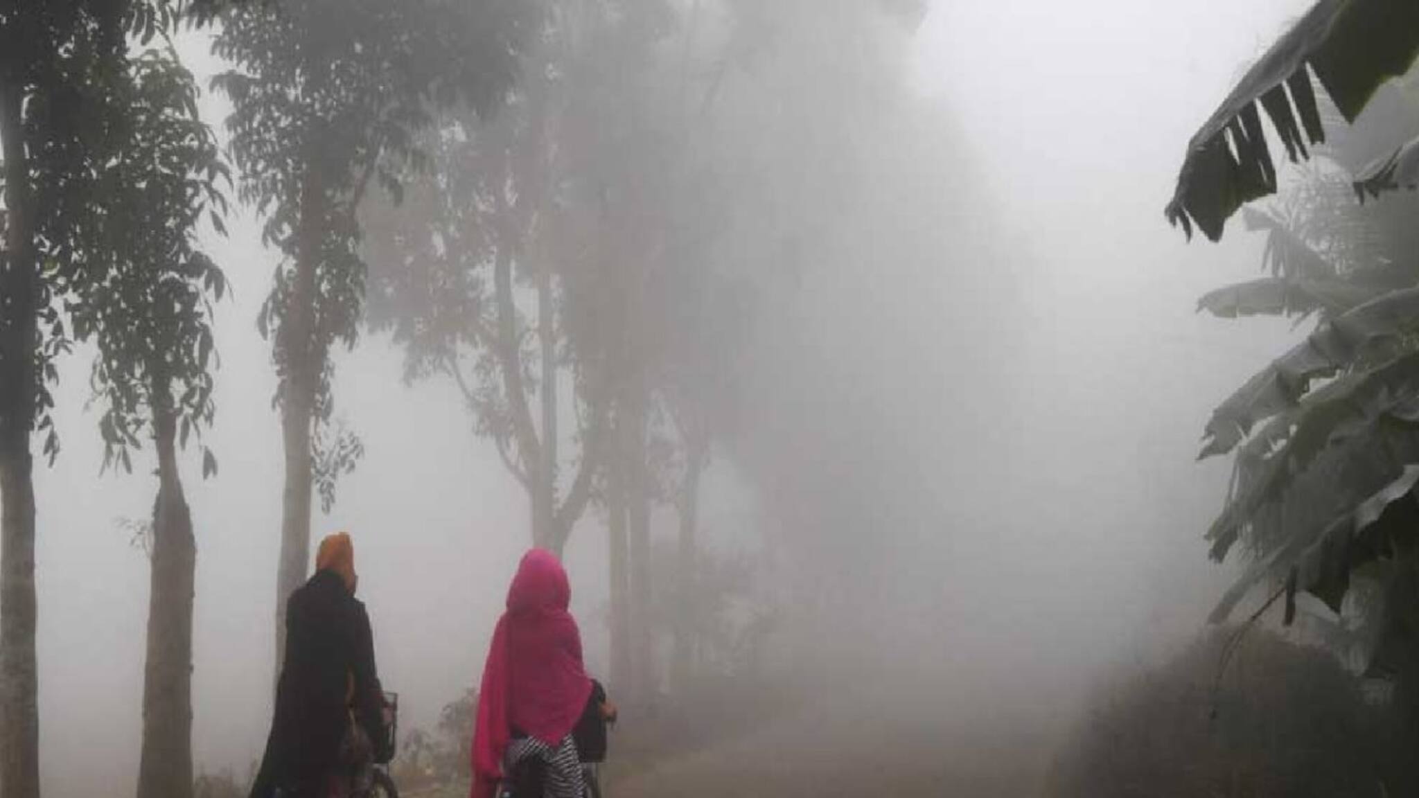 লম্বা ইনিংসের পথে শীত, আজও শৈত্যপ্রবাহের সতর্কতা জেলায় জেলায়