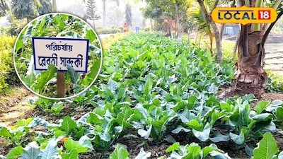 অনাথ আশ্রমে সব্জি চাষ 