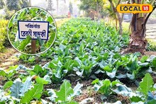 East Medinipur News: ফুলকপি থেকে পালং শাক, অনাথ আশ্রমের খুদেরা শুরু করেছে শীতের সবজি চাষ! পিছনে রয়েছে জীবন গড়ার শিক্ষা