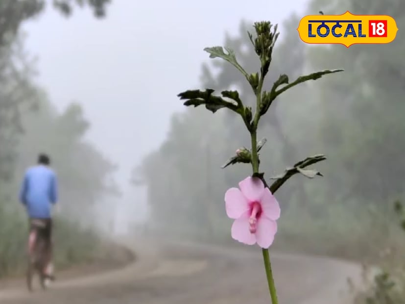 হুগলিতে বুধবার সকালের দিকে হালকা কুয়াশার দেখা মেলে বিভিন্ন জায়গায়। তবে বেলা বাড়ার সঙ্গে সঙ্গে কুয়াশা কাটলেও হালকা মেঘাচ্ছন্ন পরিস্থিতিও লক্ষ্য করা যাচ্ছে।